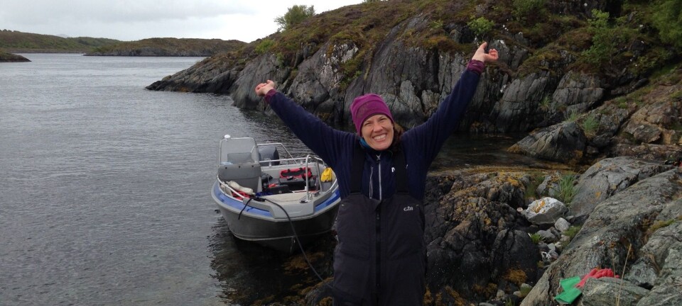 Flotte tareskoger, sørgelige kråkebolleørkener og annet snacks