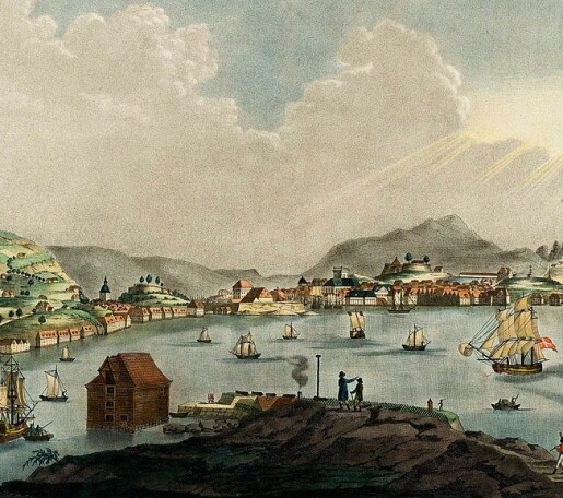 Trender i de norske kjøpstedenes utenrikshandel 1786-1790