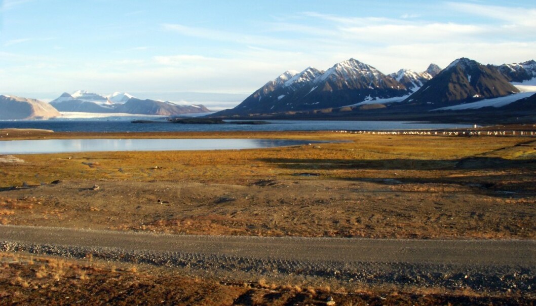 Myr og hav, begge er kilder til metan. Bildet er fra Ny-Ålesund. (Foto: Kjetil Tørseth, NILU) Myr og hav, begge er kilder til metan. Bildet er fra Ny-Ålesund. (Foto: Kjetil Tørseth, NILU)