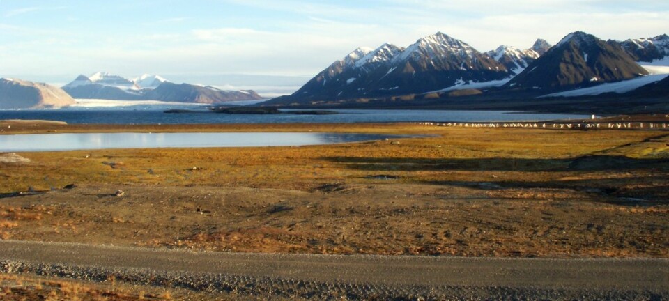 Myr og hav, begge er kilder til metan. Bildet er fra Ny-Ålesund. (Foto: Kjetil Tørseth, NILU)