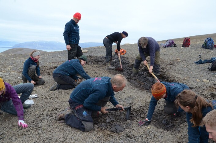 Gjengen i full sving med å åpne et ministeinbrudd i det vi kaller «Grippia-laget». (Foto: Charlotte Sletten Bjorå) Gjengen i full sving med å åpne et ministeinbrudd i det vi kaller «Grippia-laget». (Foto: Charlotte Sletten Bjorå)