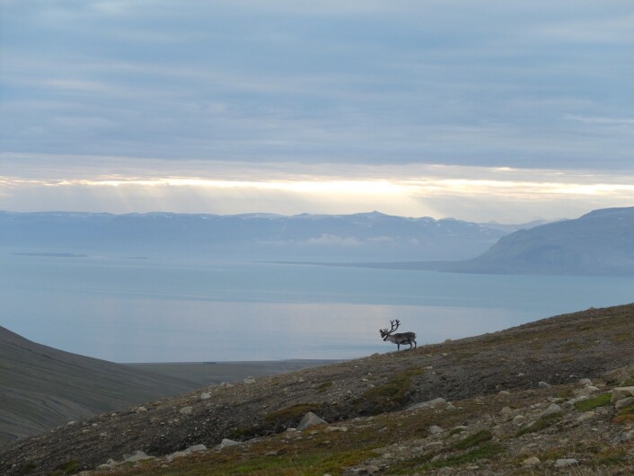 De lokale i dalen kom oss i møte. (Foto: Christina Ekeheien) De lokale i dalen kom oss i møte. (Foto: Christina Ekeheien)