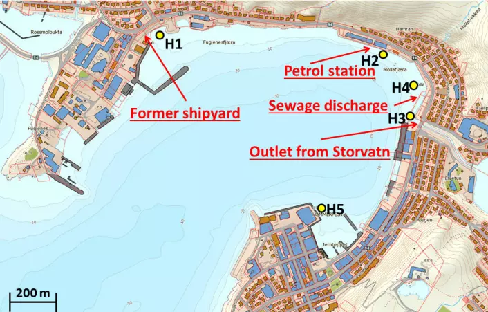 Kartet viser havnebassenget i Hammerfest. Fra fem steder i havna ble bunnprøver analysert og forsøkt renset med den nye elektrodialysemetoden. (Foto: (Kart: UiT))
