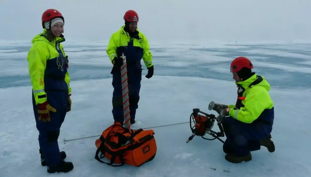 Utforsker dyrelivet i iskalde farvann i Arktis