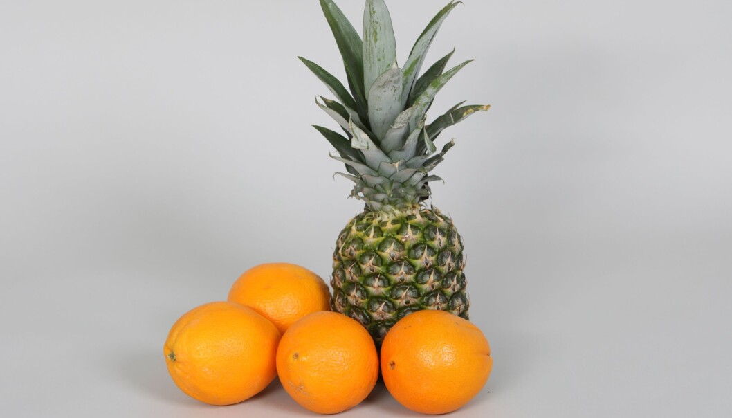 Ananas og appelsiner er vanskelige å skrelle og blir langt mer tilgjengelige for folk når de er ferdig skrelte og oppkuttede. (Foto: Kjell J. Merok, Nofima) Ananas og appelsiner er vanskelige å skrelle og blir langt mer tilgjengelige for folk når de er ferdig skrelte og oppkuttede. (Foto: Kjell J. Merok, Nofima)