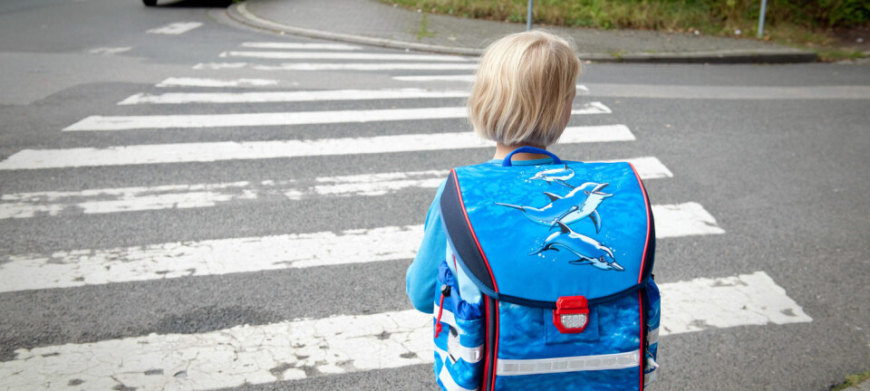 Mange barn går til skolen. Men hovedårsaken til at noen foreldre velger å kjøre, er at barna må gå alene i trafikken. (Foto: Jan Haas,NTB scanpix)