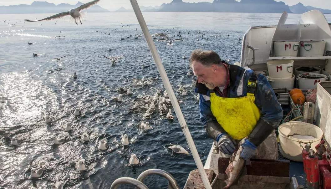 Fiskerne mener de selv bør følge lover og regler for å bevare fisken i havet. (Foto: Jan-Morten Bjørnbakk, NTB scanpix)
