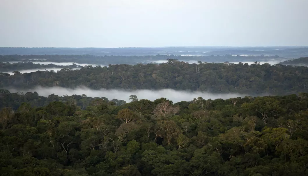 Det bodde millioner i Amazonas før europeerne kom