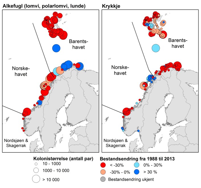 Norske sjøfuglbestander er i endring. Bestandene av lomvi og lunde har de siste 25 årene gått nedover i Norskehavet, men de har samtidig økt i den sørlige delen av Barentshavet. Krykkje har gått kraftig tilbake i hele Nord Atlanteren, også i de fleste koloniene i Norge. (Foto: (Grafikk: NINA)) Norske sjøfuglbestander er i endring. Bestandene av lomvi og lunde har de siste 25 årene gått nedover i Norskehavet, men de har samtidig økt i den sørlige delen av Barentshavet. Krykkje har gått kraftig tilbake i hele Nord Atlanteren, også i de fleste koloniene i Norge. (Foto: (Grafikk: NINA))