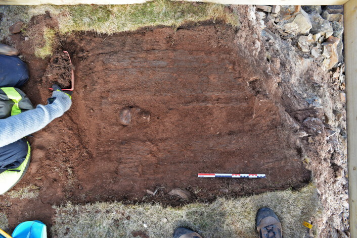 Her er plankelaget som dekker graven under opprensing. Skallen stikker frem i en glipe som har oppstått når bordene har seget nedover og blitt tvunget ut til gravens sider. Bredden på graven er her rundt 80 cm, dette er veldig bredt. Vi klør oss i hodet og lurer fælt på om det kan ligge flere individer i graven. (Foto: (Foto Dag Nævestad/ Sysselmannen på Svalbard)) Her er plankelaget som dekker graven under opprensing. Skallen stikker frem i en glipe som har oppstått når bordene har seget nedover og blitt tvunget ut til gravens sider. Bredden på graven er her rundt 80 cm, dette er veldig bredt. Vi klør oss i hodet og lurer fælt på om det kan ligge flere individer i graven. (Foto: (Foto Dag Nævestad/ Sysselmannen på Svalbard))
