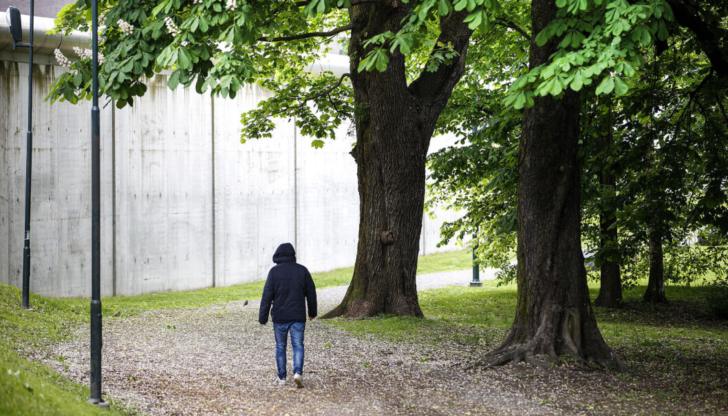Det er massevis av grøntområder og trær i Oslo sentrum. Kanskje disse har en uventet effekt på hvor sunne folk føler seg? (Foto: Gorm Kallestad/NTB Scanpix) Det er massevis av grøntområder og trær i Oslo sentrum. Kanskje disse har en uventet effekt på hvor sunne folk føler seg? (Foto: Gorm Kallestad/NTB Scanpix)