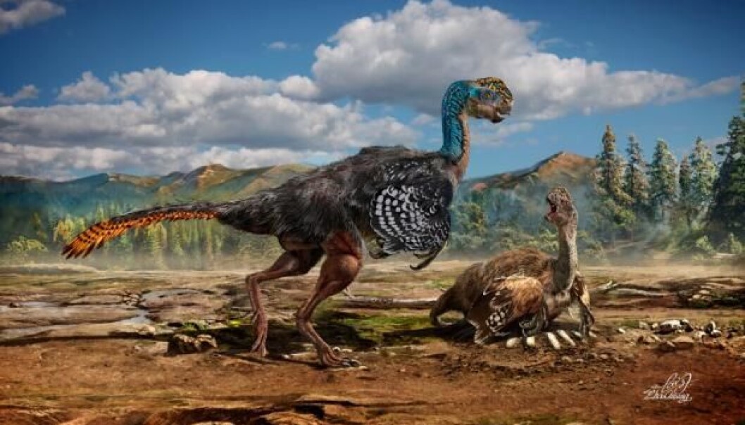 En kunstners beskrivelse av hvordan den nye dinosaurarten skal ha sett ut, med fjær og et merkelig hode (Foto: Chuang Zhao) En kunstners beskrivelse av hvordan den nye dinosaurarten skal ha sett ut, med fjær og et merkelig hode (Foto: Chuang Zhao)