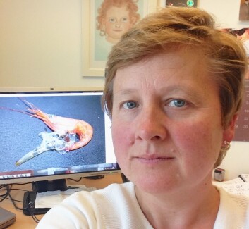 Prosjektleder Renée Katrin Bechmann fra International Research Institute of Stavanger. (Foto: Renée Katrin Bechmann) Prosjektleder Renée Katrin Bechmann fra International Research Institute of Stavanger. (Foto: Renée Katrin Bechmann)