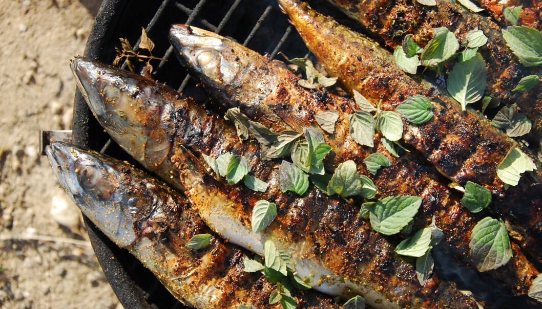 Forskerens miljøvennlig grilltips er å grille mer fisk, for eksempel makrell. (Foto: Microstock) Forskerens miljøvennlig grilltips er å grille mer fisk, for eksempel makrell. (Foto: Microstock)