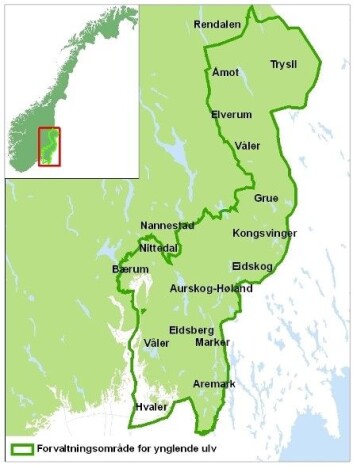 Forvaltningsområde for ynglende ulv. (Foto: Kartillustrasjon: Miljødirektoratet) Forvaltningsområde for ynglende ulv. (Foto: Kartillustrasjon: Miljødirektoratet)