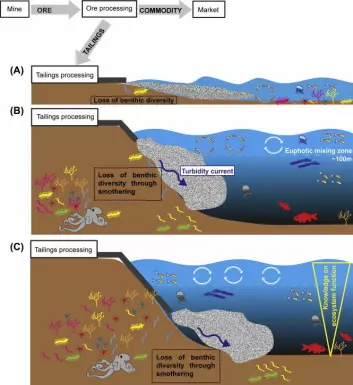 Skjematisk fremstilling av tre ulike metoder for lagring av avgangsmasser i sjø og effekten det har på økosystemet. (Foto: Framsenteret)
