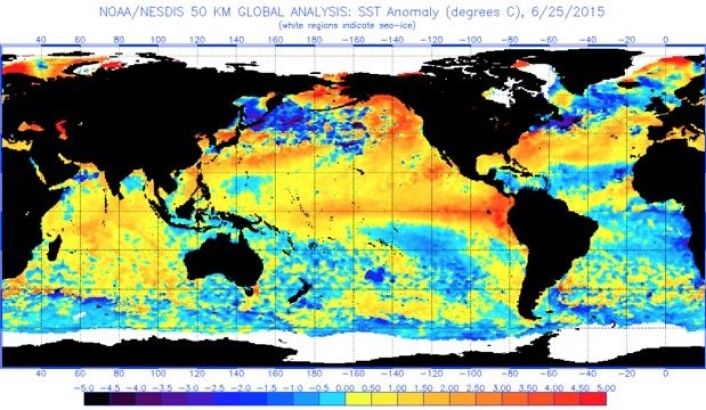 Havoverflatetemperatur (avvik fra normalen) 25. juni. (Bilde: NOAA) Havoverflatetemperatur (avvik fra normalen) 25. juni. (Bilde: NOAA)