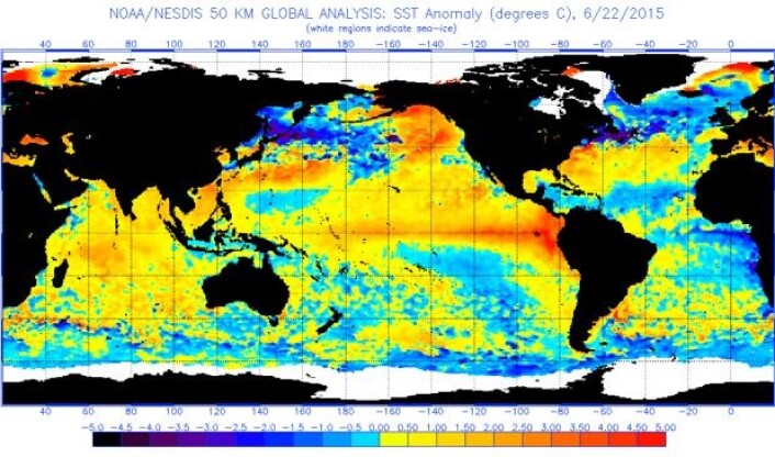 Satellittmålt havoverflatetemperatur 22. juni 2015. (Bilde: NOAA) Satellittmålt havoverflatetemperatur 22. juni 2015. (Bilde: NOAA)