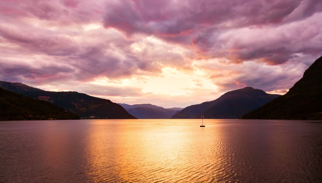 Solnedgang i Hardanger. Vi får meir energi og vert glade og nøgde av dei lange, lyse sommardagane. Men vi bør ikkje sova bort sumarnatta, meiner søvnekspert Bjørn Bjorvatn. (Foto: Colourbox) Solnedgang i Hardanger. Vi får meir energi og vert glade og nøgde av dei lange, lyse sommardagane. Men vi bør ikkje sova bort sumarnatta, meiner søvnekspert Bjørn Bjorvatn. (Foto: Colourbox)