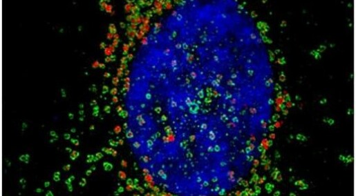 Ny kreftmedisin med nanopartikler gir færre bivirkninger