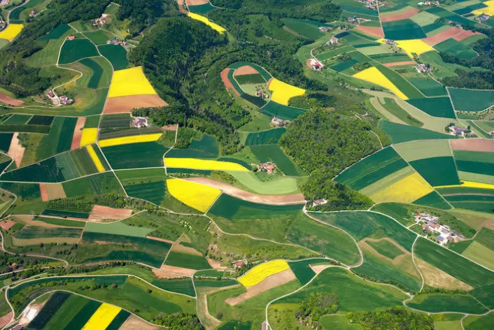 Et bilde i fotokonkurransen for miljøsatellitten Sentinel-2 viser vegetasjon og landbruksområder, som Sentinel-2 også kommer til å se. Dette er Aargau, Switzerland av F. Müller. (Foto: F. Müller)