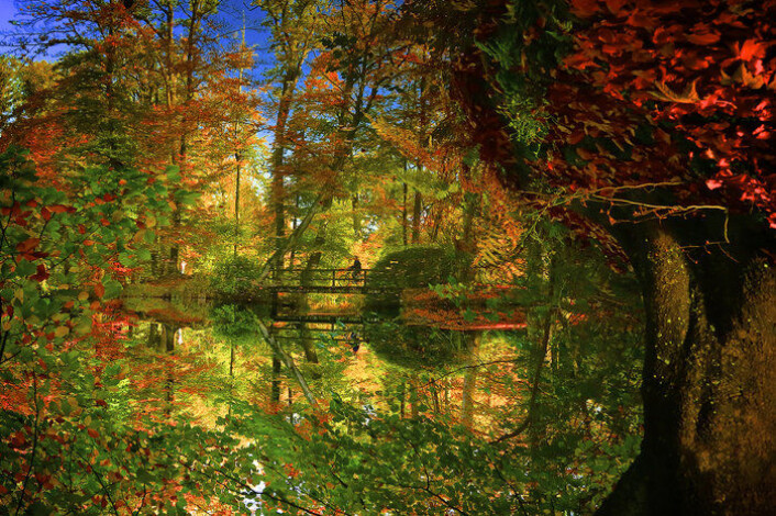 Dette er vinnerbildet i Colour Vision, ESAs fotokonkurranse for skogsatellitten Sentinel-2. Bildet herer Colouring Water og er tatt av M. A. Richardson. (Foto: M. A. Richardson.) Dette er vinnerbildet i Colour Vision, ESAs fotokonkurranse for skogsatellitten Sentinel-2. Bildet herer Colouring Water og er tatt av M. A. Richardson. (Foto: M. A. Richardson.)