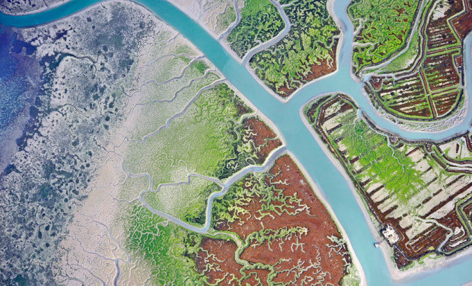 Et av bildene som ble hedret i fotokonkurransen til ære for Sentinel-2 viser overgangen mellom land og vann. Dette er The Saltmarshes Of Cadiz Bay av E. P. Morris. (Foto: E. P. Morris.)