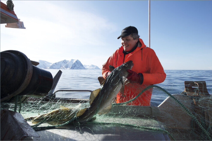 Fiskerne blir kalde på fingrene, men kroppen holder seg varm, nesten for varm. (Foto: Johan Wildhagen, Sjømatrådet) Fiskerne blir kalde på fingrene, men kroppen holder seg varm, nesten for varm. (Foto: Johan Wildhagen, Sjømatrådet)