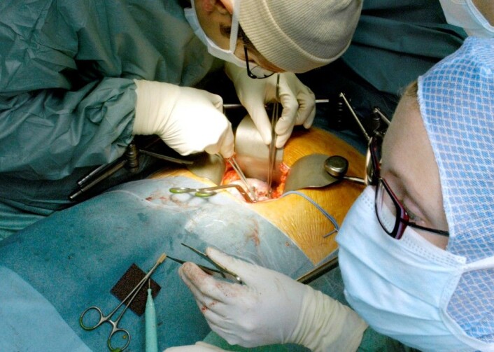 Etter en organtransplantasjon må pasienten gå på immundempende medisiner resten av livet. Spørsmålet i NILS-studien var hvor mange. Bildet viser en transplantasjon av nyre. (Illustrasjonsfoto: Science Photo Library) Etter en organtransplantasjon må pasienten gå på immundempende medisiner resten av livet. Spørsmålet i NILS-studien var hvor mange. Bildet viser en transplantasjon av nyre. (Illustrasjonsfoto: Science Photo Library)