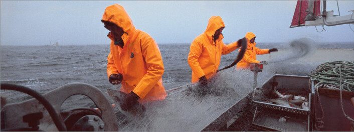 Dette er antakelig Norges aller triveligste arbeidsplass. (Foto: Sjømatrådet) Dette er antakelig Norges aller triveligste arbeidsplass. (Foto: Sjømatrådet)