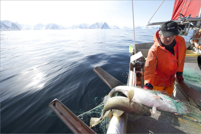 De vanligste plagene blant fiskerne er muskel- og skjelettsykdom. (Foto: Sjømatrådet De vanligste plagene blant fiskerne er muskel- og skjelettsykdom. (Foto: Sjømatrådet