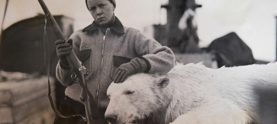 Bildet av Emmy Lou Sutton poserende ved en død isbjørn pirret nysgjerrigheten til førsteamanuensis og daglig leder ved Polarmuseet, Lena Aarekol. Ett av spørsmålene hun stilte seg var: «Poserer tenåringen annerledes enn det menn gjorde da de ble foreviget ved jakttrofeet?»  (Foto: Richard Sutton)