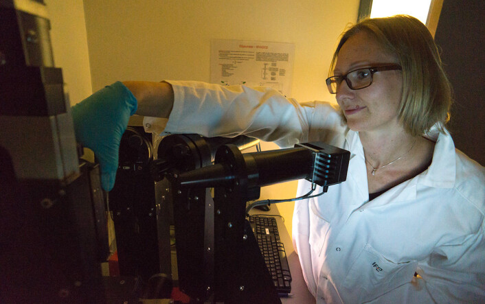 På Institutt for energiteknikk har Josefine Selj og hennes kolleger undersøkt hvordan ulike typer forurensing demper lyset gjennom glass ved forskjellige bølgelengder. (Foto: Arnfinn Christensen, forskning.no) På Institutt for energiteknikk har Josefine Selj og hennes kolleger undersøkt hvordan ulike typer forurensing demper lyset gjennom glass ved forskjellige bølgelengder. (Foto: Arnfinn Christensen, forskning.no)