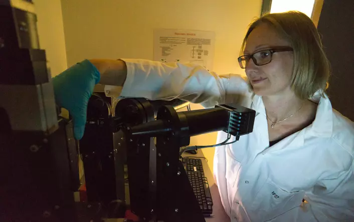 På Institutt for energiteknikk har Josefine Selj og hennes kolleger undersøkt hvordan ulike typer forurensing demper lyset gjennom glass ved forskjellige bølgelengder. (Foto: Arnfinn Christensen, forskning.no)