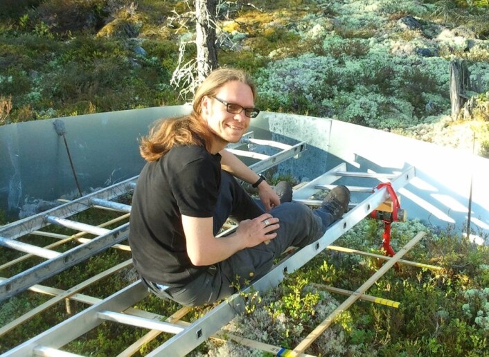 Marcel Schrijvers-Gonlag forsøker å finne ut hvordan blåbærplantens måte å forsvare seg på påvirker smaken og i hvor stor grad mus, elg og andre dyr vil ha blåbær på menyen. (Foto: Marieke Gonlag-Schrijvers) Marcel Schrijvers-Gonlag forsøker å finne ut hvordan blåbærplantens måte å forsvare seg på påvirker smaken og i hvor stor grad mus, elg og andre dyr vil ha blåbær på menyen. (Foto: Marieke Gonlag-Schrijvers)