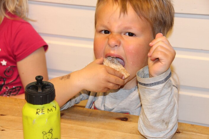 Remy koser seg med knekkebrød med skinkeost. (Foto: Elin Svilaas) Remy koser seg med knekkebrød med skinkeost. (Foto: Elin Svilaas)