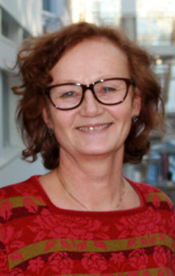 Kommunen er helten i dagens helsevesen, mener Marit Kristine Helgesen, seniorforsker hos Norsk institutt for by- og regionforskning (NIBR). (Foto: Jan-Tore Berghei) Kommunen er helten i dagens helsevesen, mener Marit Kristine Helgesen, seniorforsker hos Norsk institutt for by- og regionforskning (NIBR). (Foto: Jan-Tore Berghei)