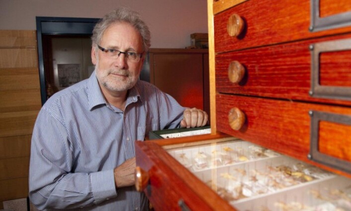 Professor Nigel Stork har gjort nye beregninger av hvor mange arter som finnes. (Foto: Griffith University) Professor Nigel Stork har gjort nye beregninger av hvor mange arter som finnes. (Foto: Griffith University)