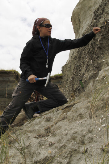 Forsker Lee Hsiang Liow på fossiljakt i New Zealand. (Foto: Kjetil Voje) Forsker Lee Hsiang Liow på fossiljakt i New Zealand. (Foto: Kjetil Voje)