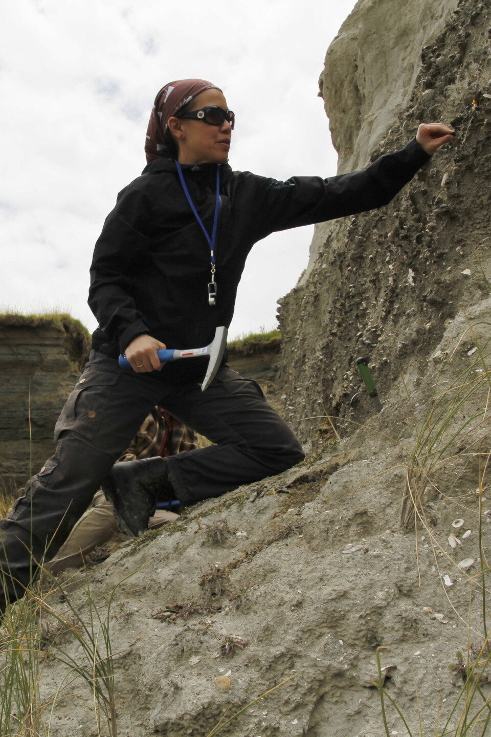Forsker Lee Hsiang Liow på fossiljakt i New Zealand. (Foto: Kjetil Voje)