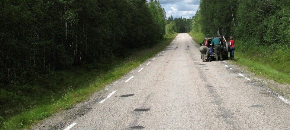 I år brukes 1,2 milliarder kroner på å fornye veidekket på norske riksveier. Her har en bil punktert på landeveien i Finnskogen. (Foto: Svein Aage Nilsen, NTB scanpix)