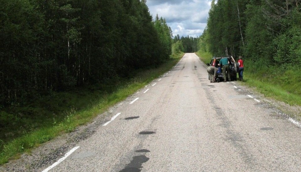I år brukes 1,2 milliarder kroner på å fornye veidekket på norske riksveier. Her har en bil punktert på landeveien i Finnskogen. (Foto: Svein Aage Nilsen, NTB scanpix)
