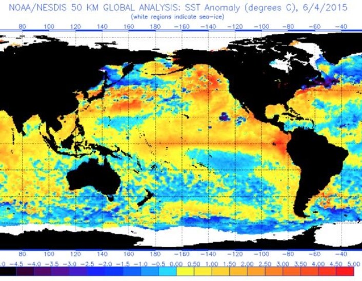El Ninjo'en setter tydelige tegn i sjøtemperaturen i Stillehavet. (Bilde: NOAA) El Ninjo'en setter tydelige tegn i sjøtemperaturen i Stillehavet. (Bilde: NOAA)