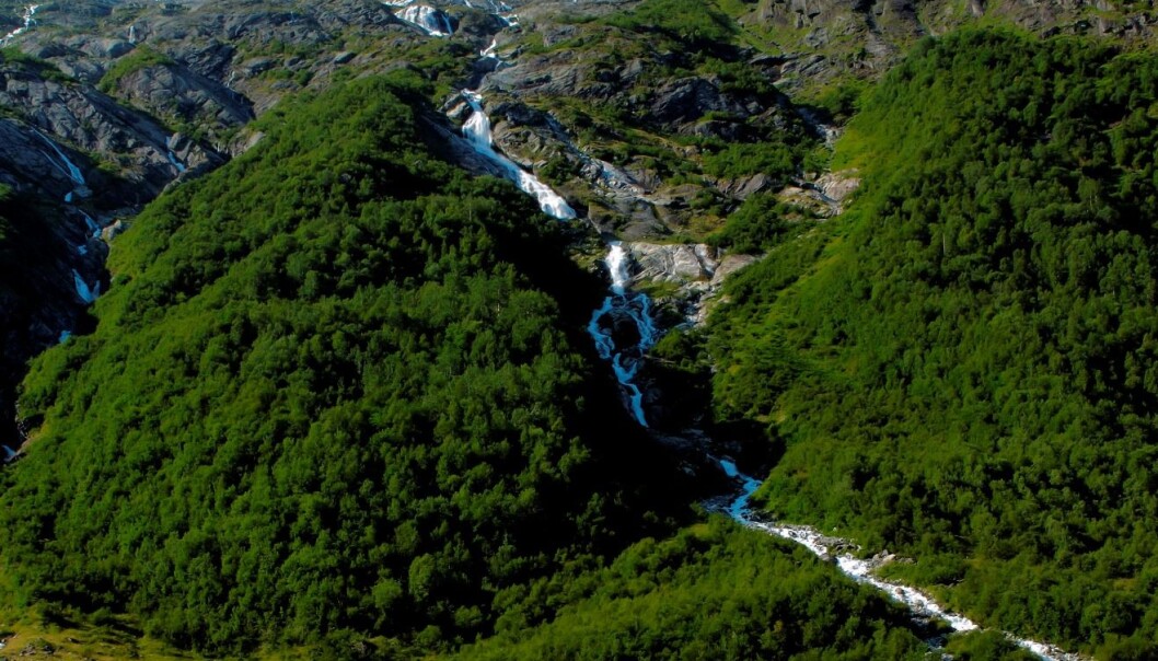 Her ser vi et eksempel på en vannforekomst som definitivt ikke er påvirket av jordbruk. (Foto: Ove Bergersen) Her ser vi et eksempel på en vannforekomst som definitivt ikke er påvirket av jordbruk. (Foto: Ove Bergersen)