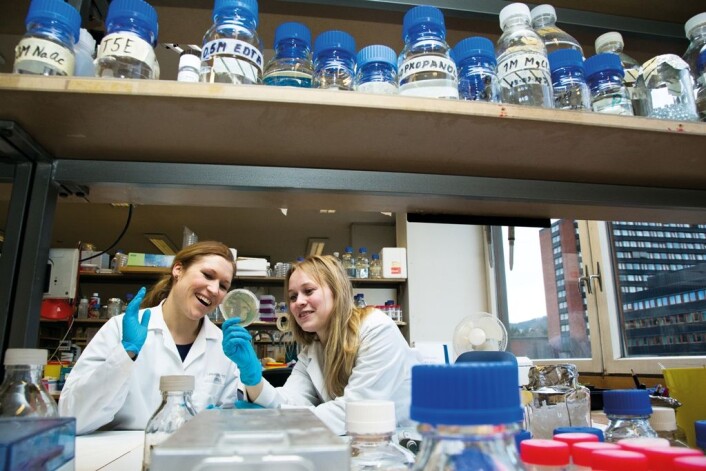 Syntetisk biologi handler om å genmodifisere bakterier slik at de blir programmert til å gjøre akkurat det vi vil, forteller Eline Melteig og Vilde Olsson. (Foto: Yngve Vogt) Syntetisk biologi handler om å genmodifisere bakterier slik at de blir programmert til å gjøre akkurat det vi vil, forteller Eline Melteig og Vilde Olsson. (Foto: Yngve Vogt)