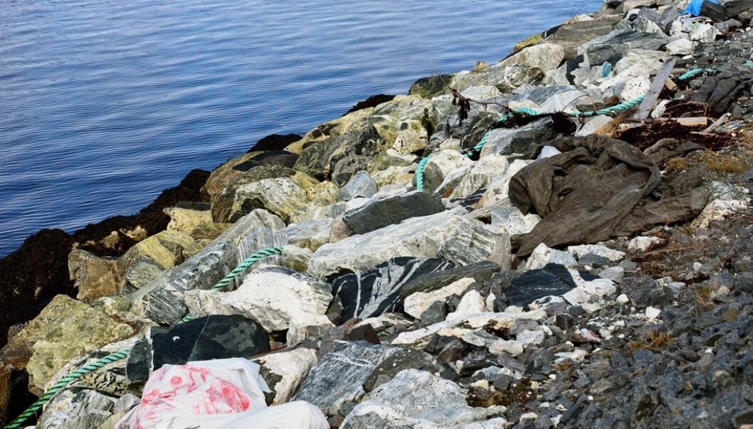 Programmerte bakterier kan kanskje hjelpe oss med å bli kvitt alt fra sykdommer til plastsøppel i fremtiden. (Foto: Colourbox) Programmerte bakterier kan kanskje hjelpe oss med å bli kvitt alt fra sykdommer til plastsøppel i fremtiden. (Foto: Colourbox)