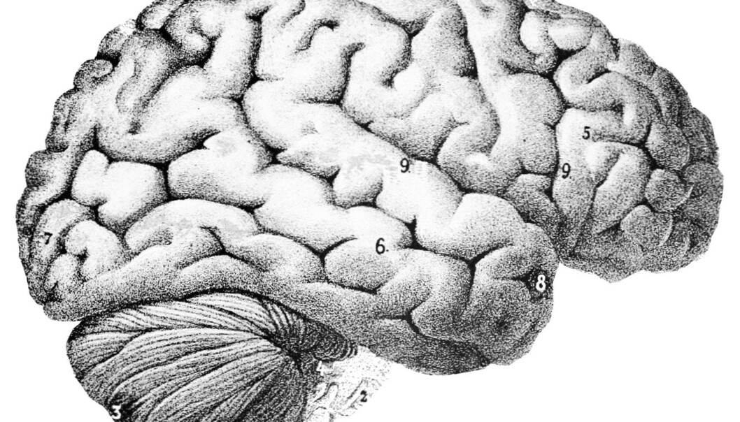 Hvis man har blitt rammet av en alvorlig infeksjon, er det risiko for at intelligensen har tatt skade, viser ny forskning. (Illustrasjon: Popular Science Monthly Volume 46) Hvis man har blitt rammet av en alvorlig infeksjon, er det risiko for at intelligensen har tatt skade, viser ny forskning. (Illustrasjon: Popular Science Monthly Volume 46)