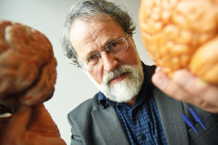 Johan Storm starter i sommer de første eksperimentene på epilepsipasienter for å kunne teste ut om den nye teorien om bevissthet stemmer. (Foto: Ola Sæther) Johan Storm starter i sommer de første eksperimentene på epilepsipasienter for å kunne teste ut om den nye teorien om bevissthet stemmer. (Foto: Ola Sæther)