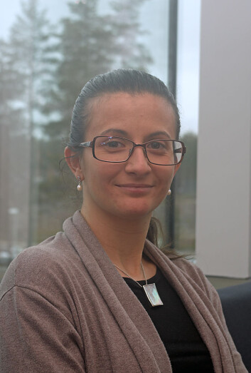Naturen er innen rekkevidde, rett utenfor kontoret til Giovanna Calogiuri på Elverum. (Foto: Georg Mathisen) Naturen er innen rekkevidde, rett utenfor kontoret til Giovanna Calogiuri på Elverum. (Foto: Georg Mathisen)