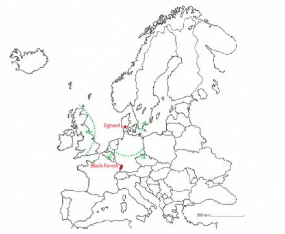 Den røde prikken på kartet er Egtved. De stiplede, grønne linjer viser hvilke områder tenner, hår, negler og klær trolig stammer fra. Det mest sannsynlige opprinnelsesstedet er Schwarzwald, som er markert med en rød prikk.  (Foto: (Illustrasjon: Marie Louise Andersson, Nationalmuseet))